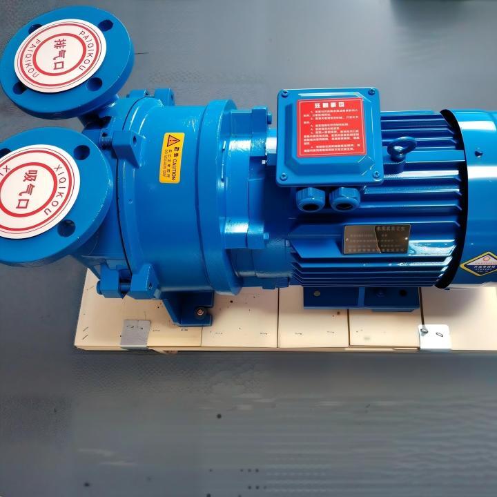 2BV-2060 Series Industrial High Vacuum Water Ring Vacuum Pump Liquid Ring Vacuum Pumps 2BV-2060 Series Industrial High Vacuum Water Ring Vacuum Pump Liquid Ring Vacuum Pumps Water Ring Vacuum Pump