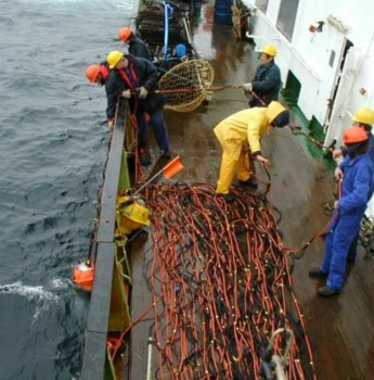 Monitoring and optimization of Marine towing cables