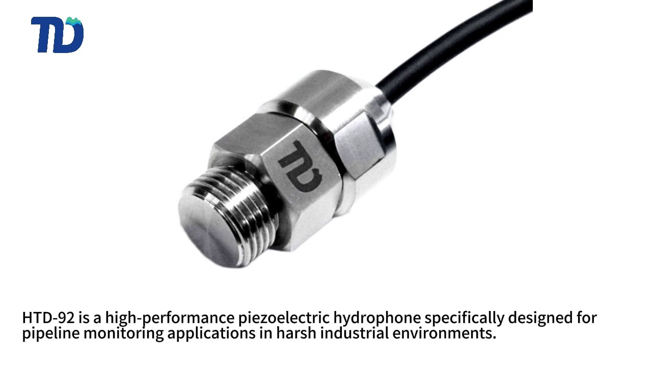 TDH-92 Pipeline Monitoring  Dedicated Hydrophone HTD-92 Pipeline Monitoring  Dedicated Hydrophone 
