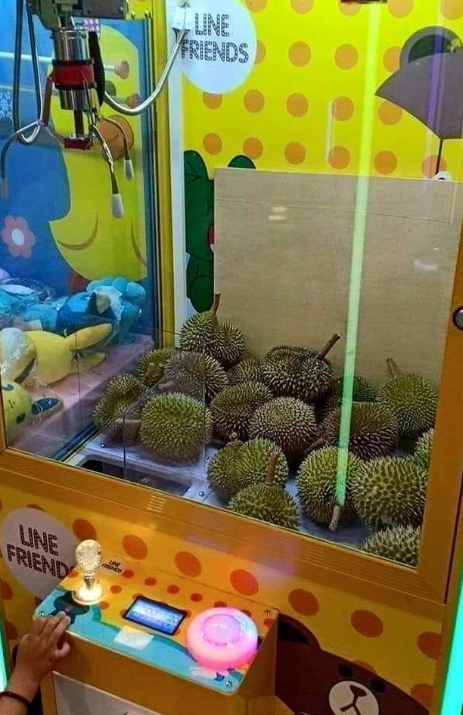 Singapore launches claw machine for catching durians