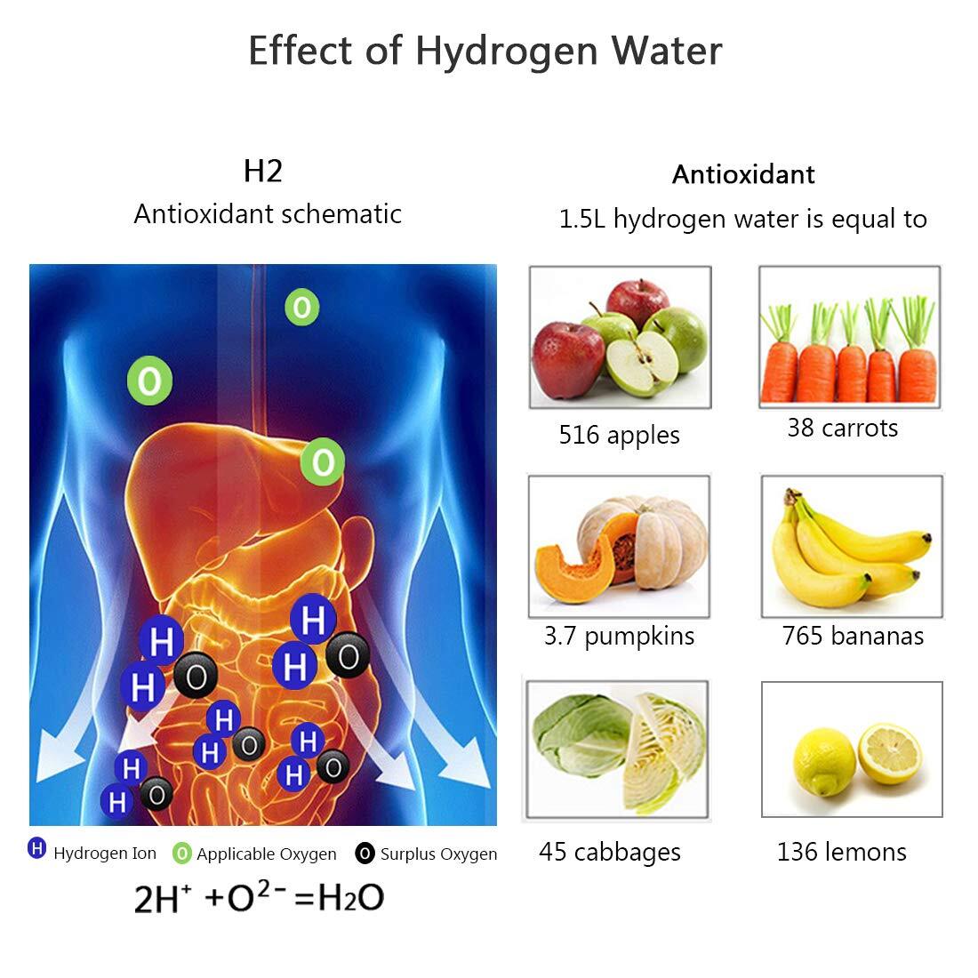 Hydrogen water maker machine