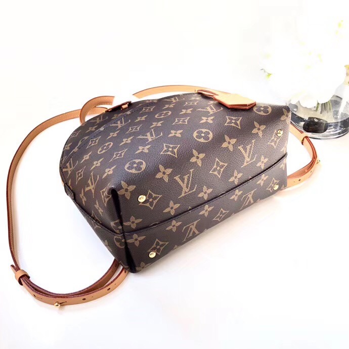 Louis Vuitton Half Black Half Monogram Bag | IQS Executive