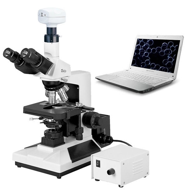 Microscope Blood Cell Machine L2050 Live Blood Cell Analysis Dark Field Microscope best price for sale