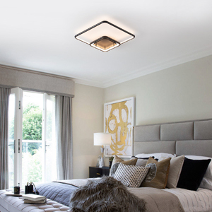 modern ceiling light
