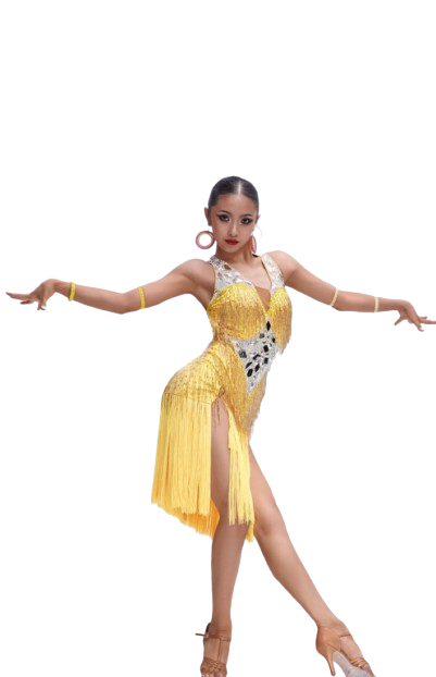 gold salsa dress Amazon.com: Sinleey Women Sequin Tassel Fringe Salsa Latin Dance Dress Tango Ballroom Dancing Costume 1920s Flapper Dress Gold X-Large : Clothing, Shoes & Jewelry
