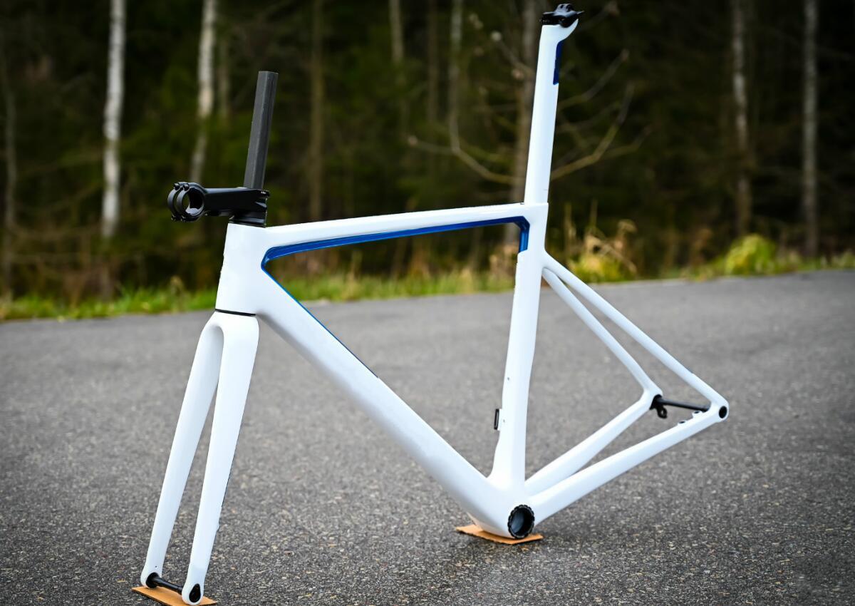 carbon frame and fork