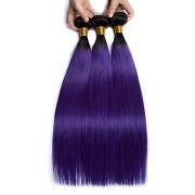 #T 1B/Purple Straight Two Tone Hair Bundles Remy Human Hair Weft XTHW-264