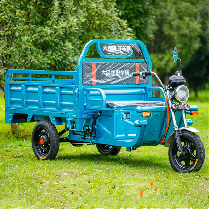 Hot sale Cheap e-Trikes 3 wheel Cargo Electric Tricycles Motorcycle Adult Three Wheel 