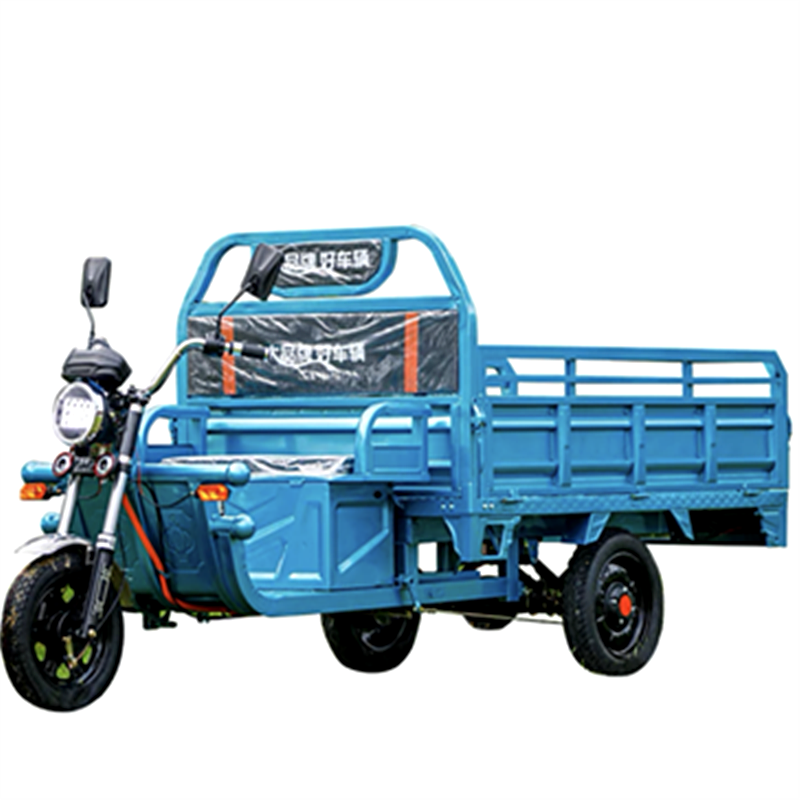 Hot sale Cheap e-Trikes 3 wheel Cargo Electric Tricycles Motorcycle Adult Three Wheel 