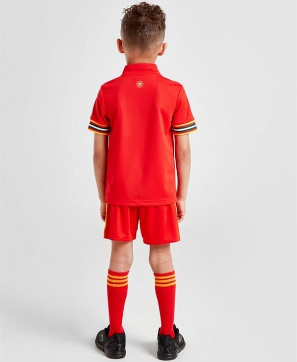 Wales Euro Home kids kit soccer Jersey 2020 Football Shirt