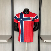 2026 World Cup Norway home Player version soccer Jersey