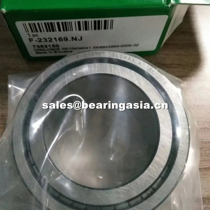 INA F232169.NJ Full Complement Cylindrical Roller Bearing