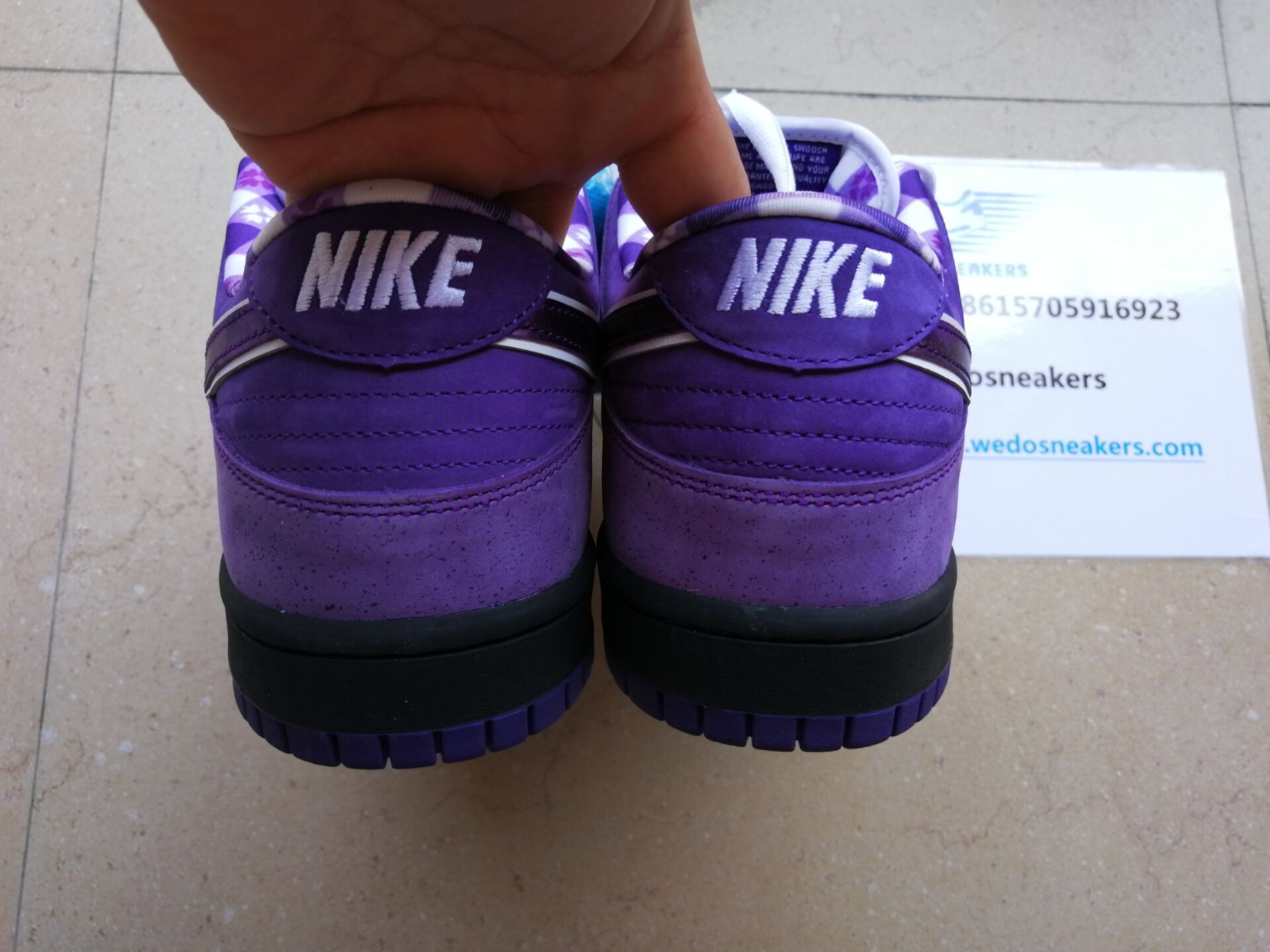 nike sb dunk low concepts purple lobster