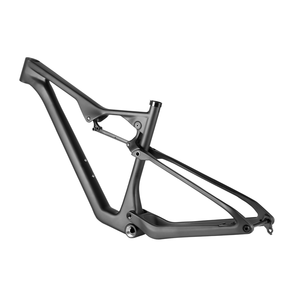 carbon mountain bike