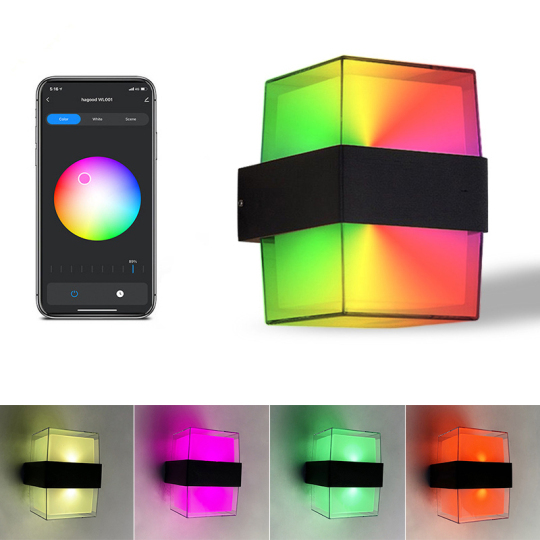 Dimmable 10W Smart LED Outdoor Wall Light APP Control Multi-Color Lamp Fixture Style # C03197