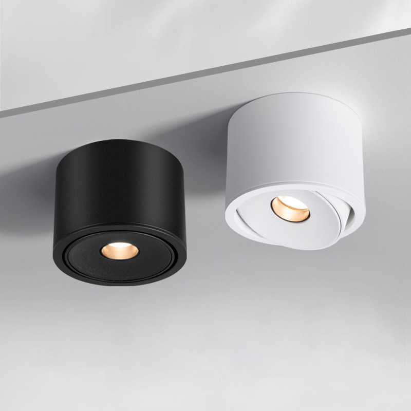 Small spotlights for ceiling best sale