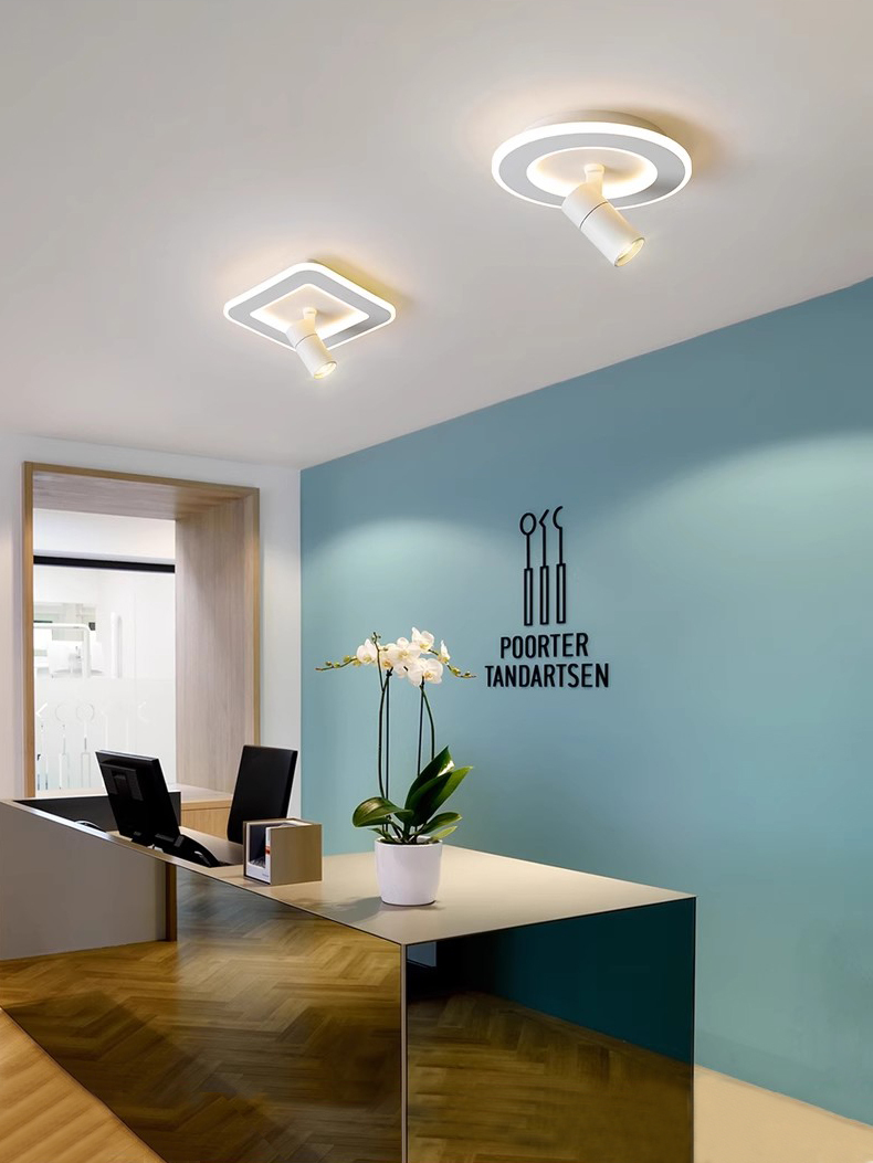 LED Ceiling Light Fixture Acrylic Square Round Lamp Rotatable Picture Spotlight Style A3086