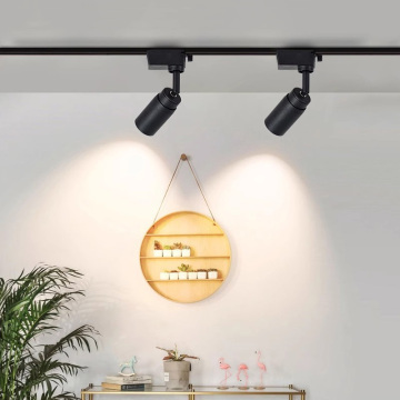 Track Light