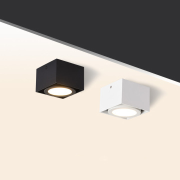 COB Ceiling Lights