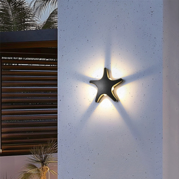 Outdoor/Indoor Wall Light