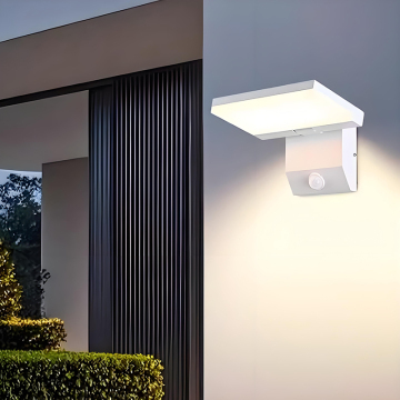 Outdoor/Indoor Wall Light