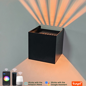 Smart Outdoor/Indoor Wall Light