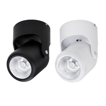 Outdoor/Indoor Wall Light