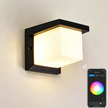 Smart Outdoor/Indoor Wall Light