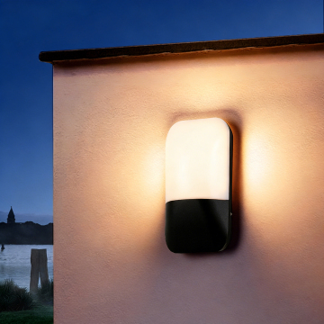 Smart Outdoor/Indoor Wall Light
