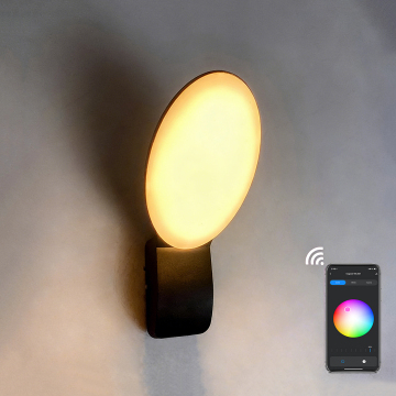 Smart Outdoor/Indoor Wall Light