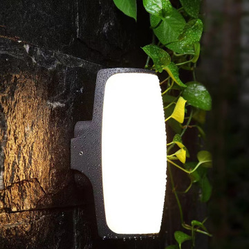 Outdoor/Indoor Wall Light