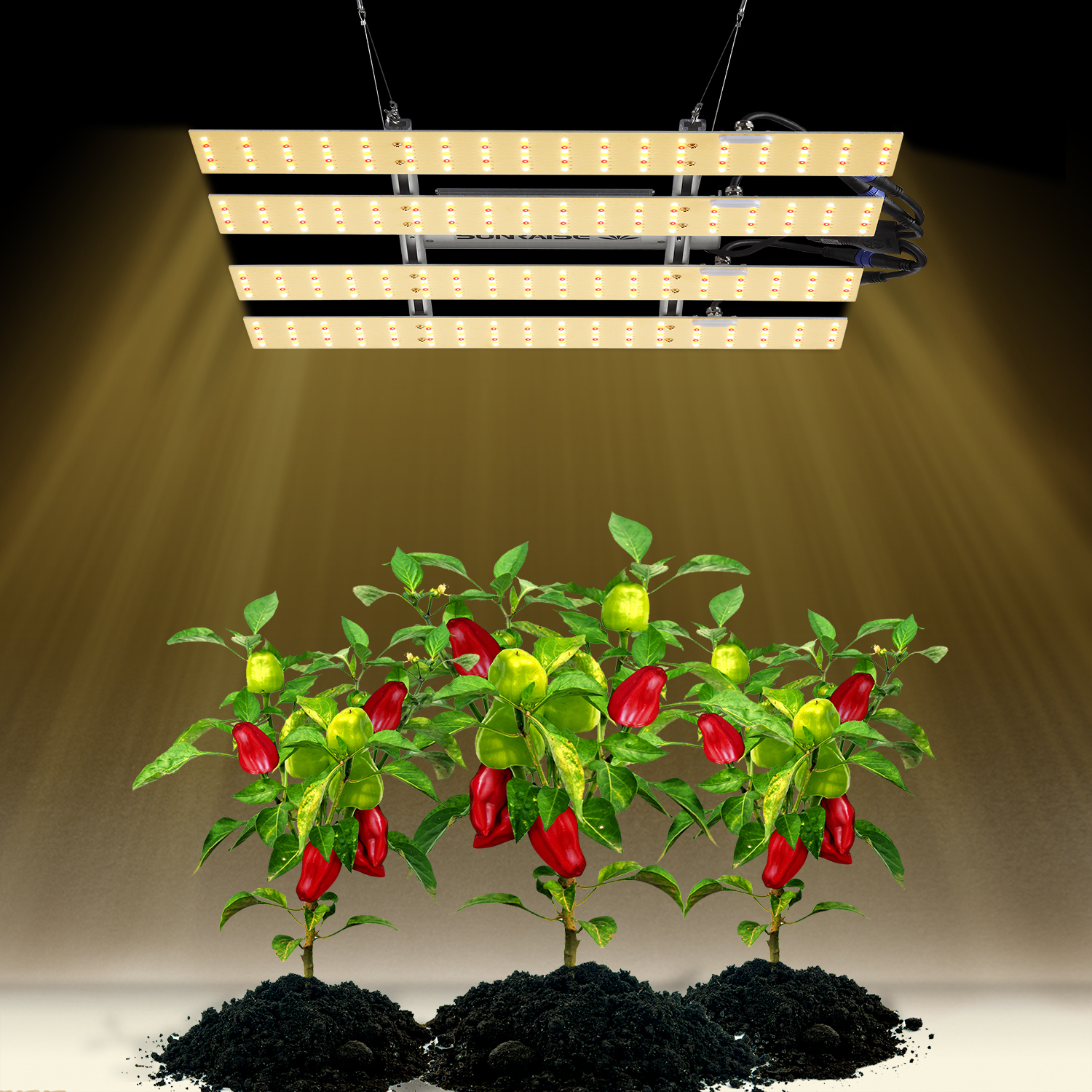 Qb 2000 grow light outlet