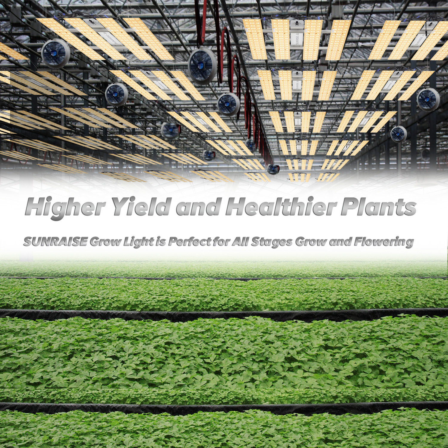 Qb 2000 grow light on sale