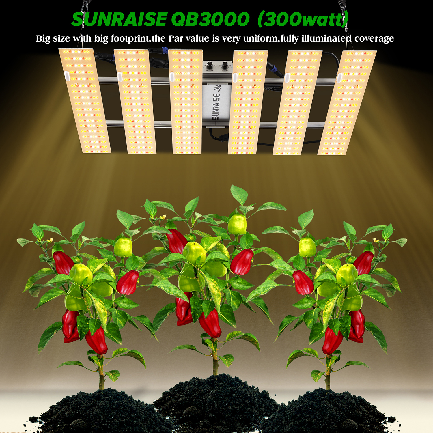 SUNRAISE BAR2400 LED Grow light driver