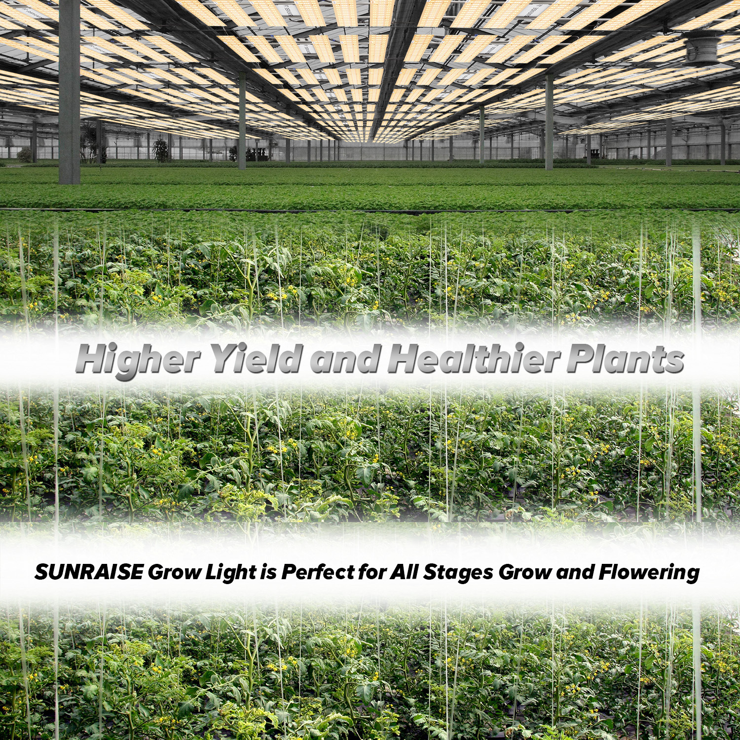 SUNRAISE BAR2400 LED Grow light driver