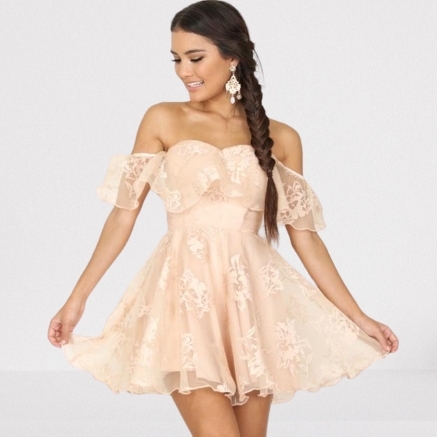 Light Pink Off The Shoulder Lace Short Party Dress Light Pink Off The Shoulder Lace Short Party Dress pink short party dress,off the shoulder short prom dress,2021 short party dress,pink pleated short prom dress