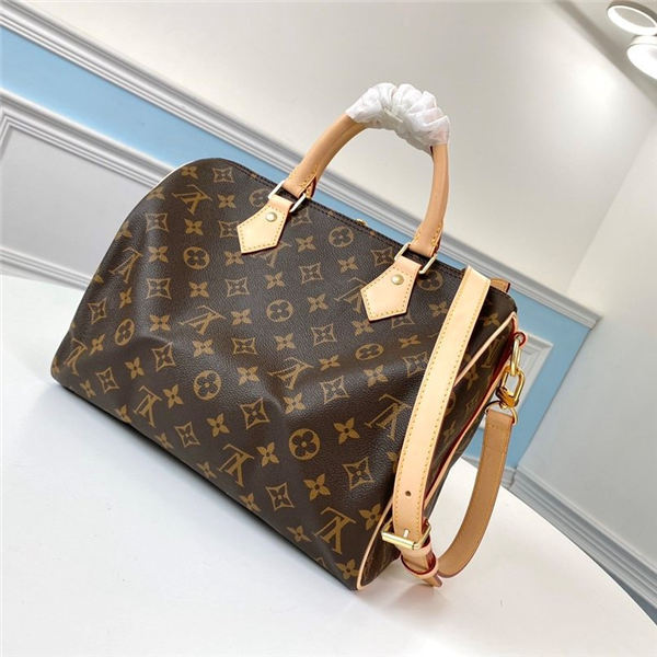 Louis Vuitton M41113 M41112 SPEEDY 25 30 handbag