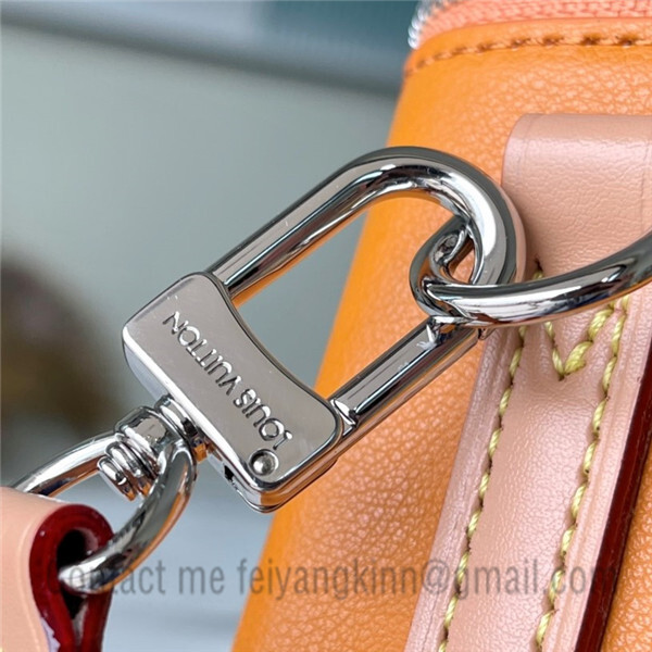 Louis Vuitton Vertical Box Trunk Shoulder Bag M59666