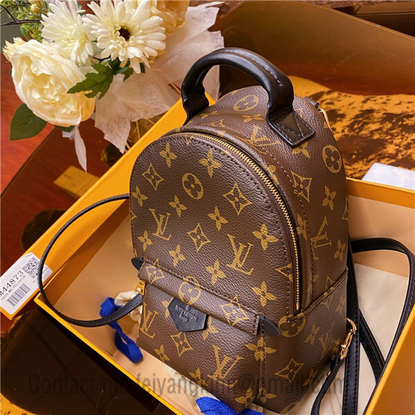 Louis Vuitton NEW M44874 Monogram Palm Springs MM Backpack – Empire Time NYC