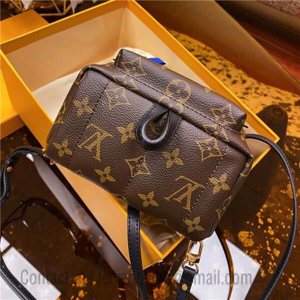 replica bag Louis Vuitton M46705 Neverfull Bb in 2023