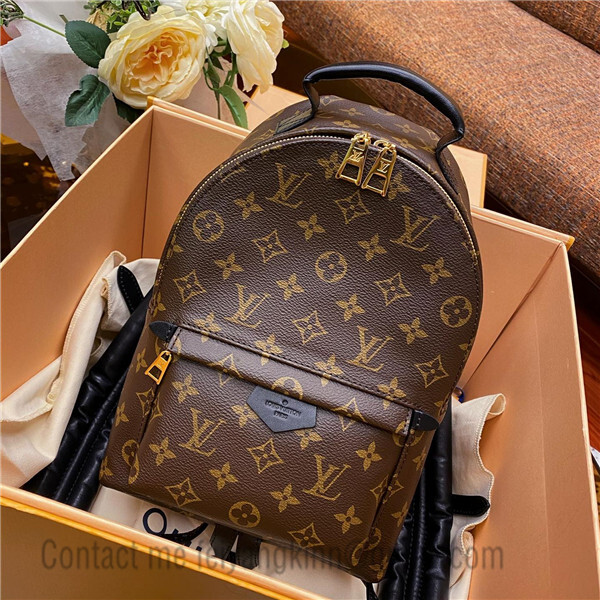 Louis-Vuitton-Monogram-Palm-Springs-MINI-Back-Pack-M44873 – dct-ep_vintage  luxury Store
