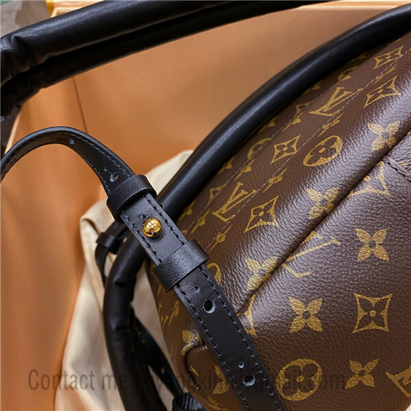 Replica Louis Vuitton M43335 Palm Springs Backpack For Sale