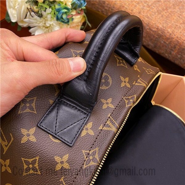 Replica Louis Vuitton M43335 Palm Springs Backpack For Sale