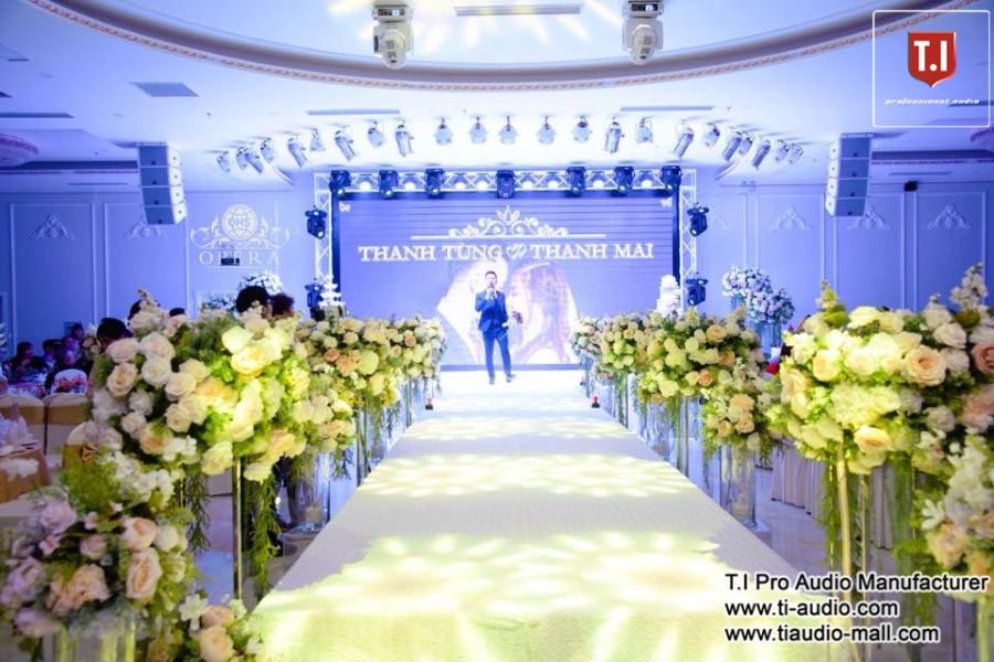 MAX215 Dual 15 Inch Line Array—Engineered for Real Concert Power