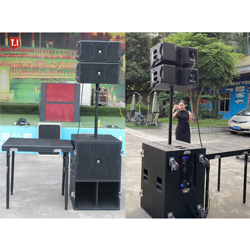 LA-110 Line array single 10'' line 