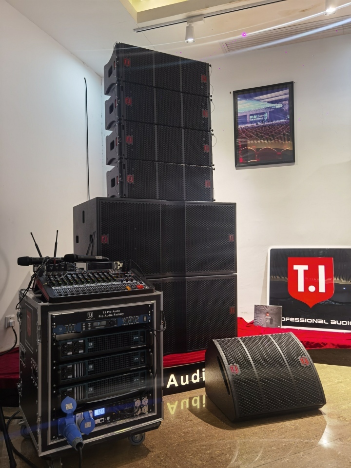 pro 210 double 10 inch line array sound system