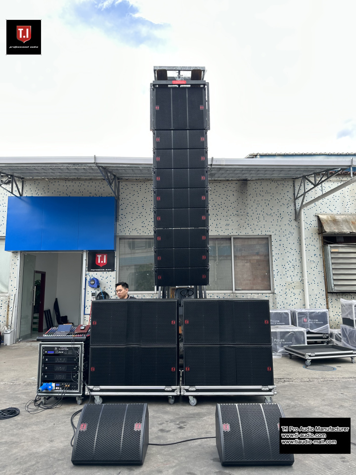 pro 210 double 10 inch line array sound system