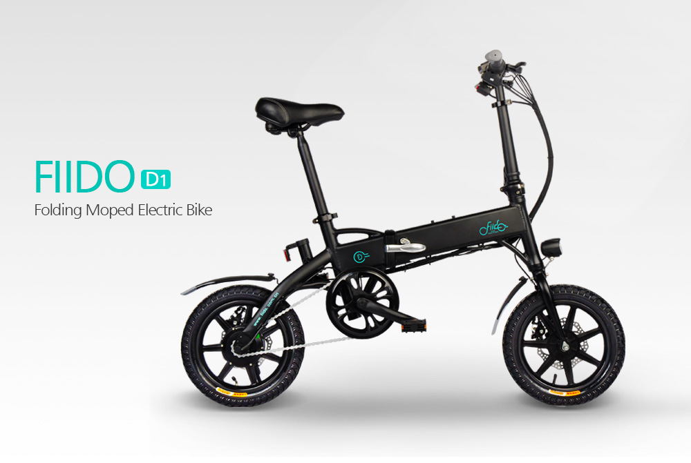 moped e bike