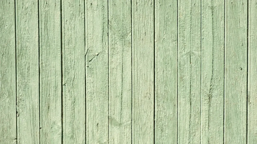 Top Features of Laser Stain Remover for Wood in 2025