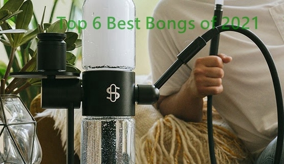 Top 6 Best Bongs of 2021 | Get High Quickly